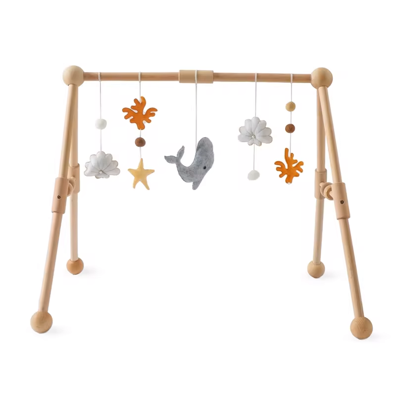 Ocean Baby Play Gym